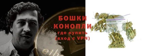 винт Няндома