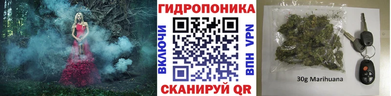 Бошки Шишки ГИДРОПОН  Купить  Красный Кут 